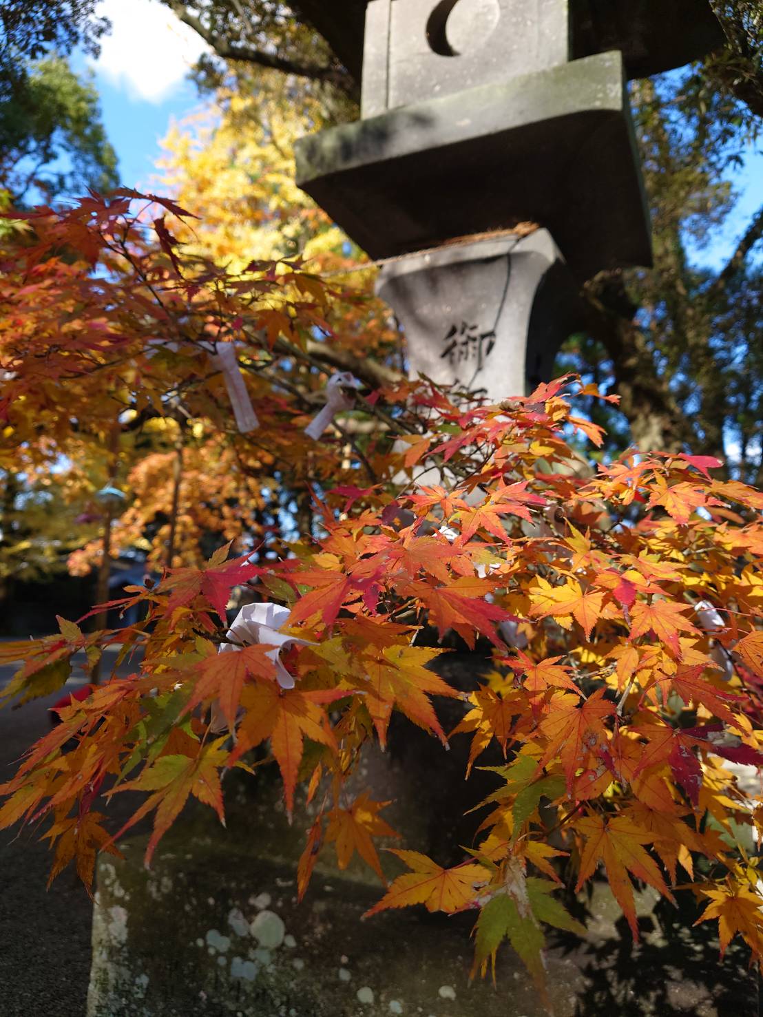春日神社の紹介写真