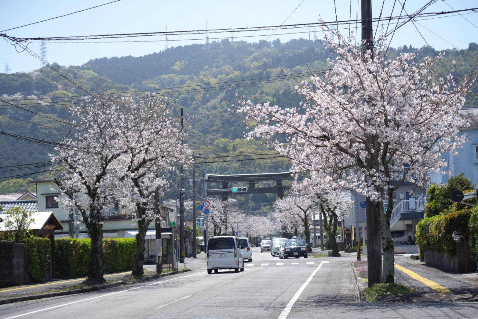 春日神社の紹介写真
