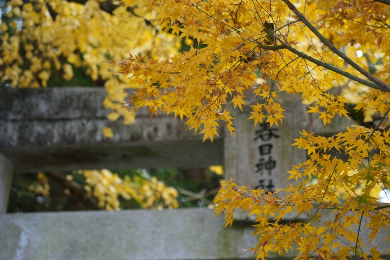 春日神社の紹介写真