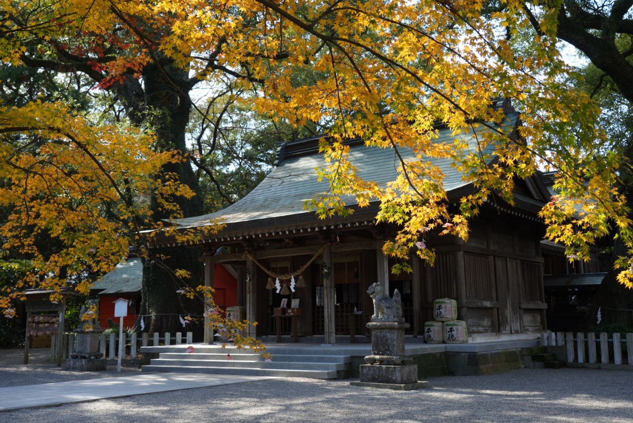 紅葉の春日神社