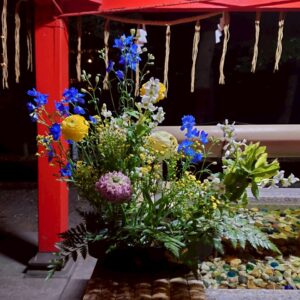 手水舎の花